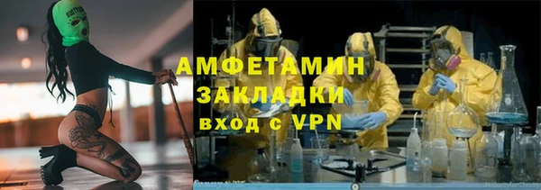 прущая мука Вяземский