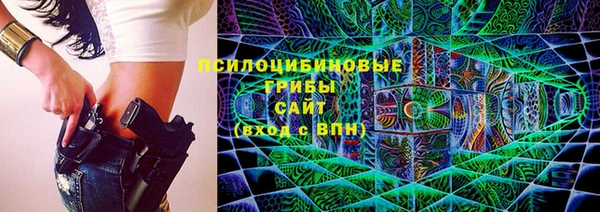 прущая мука Вяземский