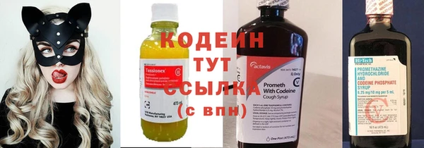 прущая мука Вяземский
