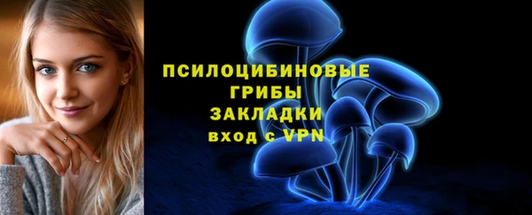 прущая мука Вяземский