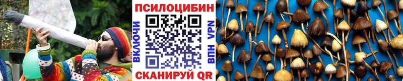 Псилоцибиновые грибы Psilocybe  закладка  Вельск 