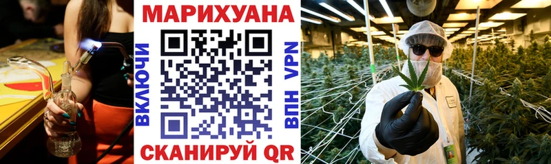 Каннабис OG Kush  Вельск 